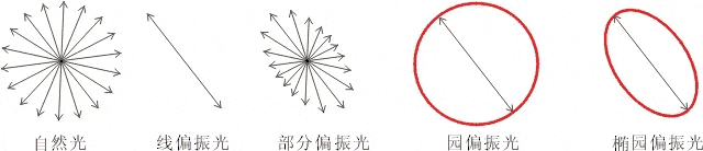什么是偏振光？偏振光是如何完成檢測(cè)的？