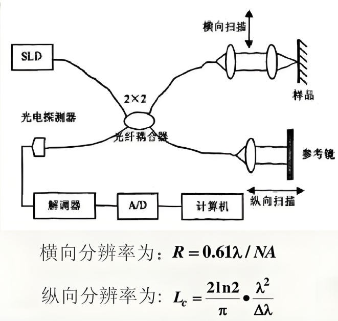 光學相干斷層掃描