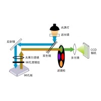 什么是熒光定量PCR、數(shù)字PCR？